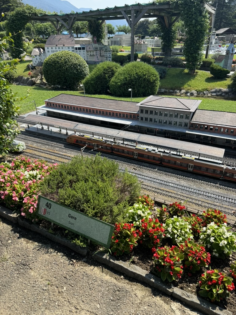 Sion station in miniature, framed by real flowers and a moving train.
