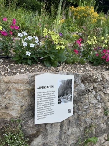 The Alpengarten sign among pink and white mountain flowers.