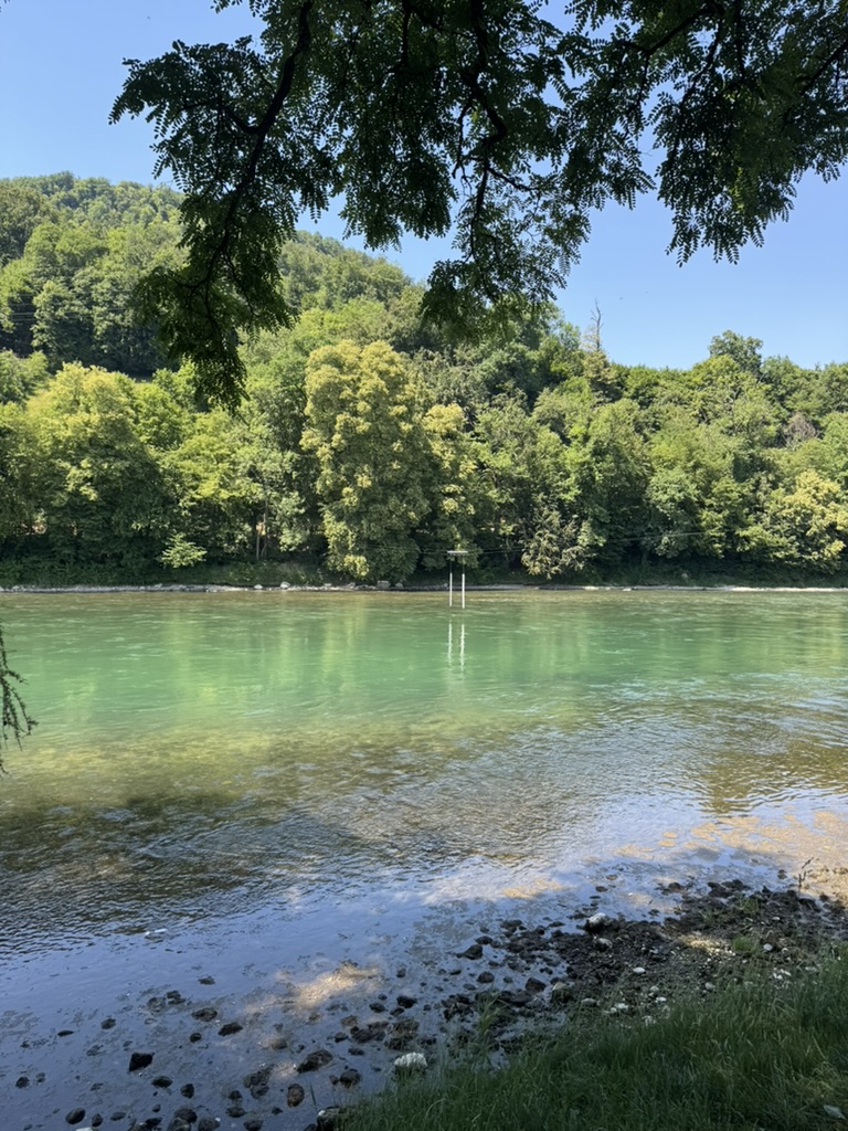 The clear turquoise Aare from the shady riverbank